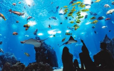 Oceanário de Lisboa